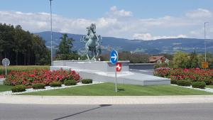 JAVNE POVRŠINE - KROŽIŠČE TEPANJE